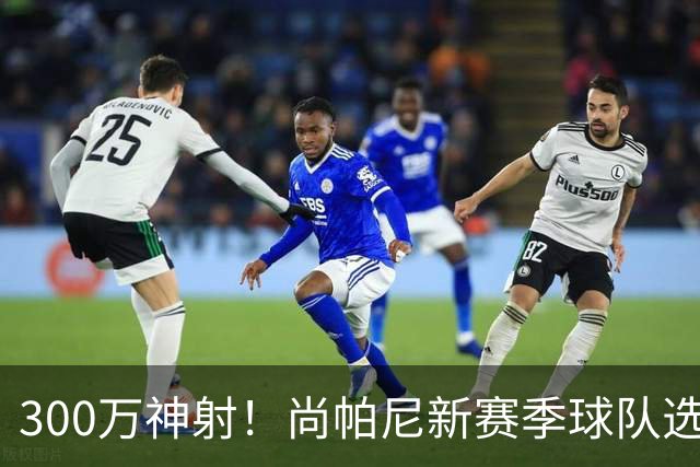 300万神射！尚帕尼新赛季球队选项 马刺可提供起薪2100万续约合同
